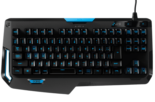 G310